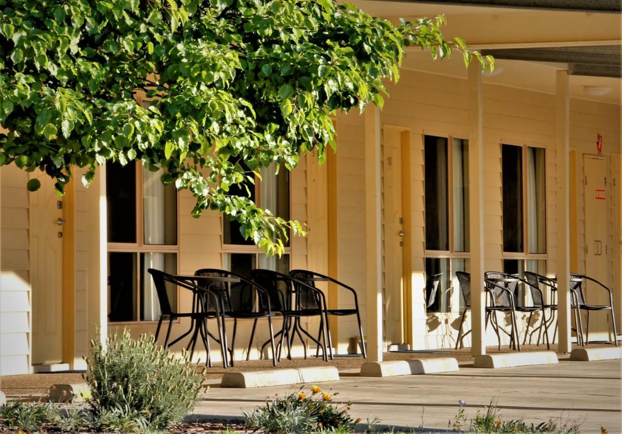 Pittsworth Motor Inn Exteriér fotografie